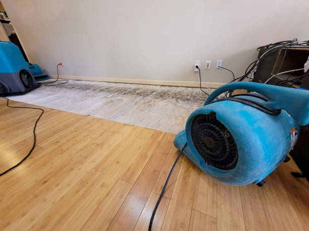 Professional Flood Damage Cleanup technician working in Dover, NJ